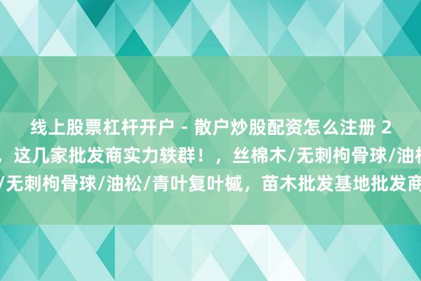 线上股票杠杆开户 - 散户炒股配资怎么注册 2025苗木批发基地精选，这几家批发商实力轶群！，丝棉木/无刺枸骨球/油松/青叶复叶槭，苗木批发基地批发商推选分析