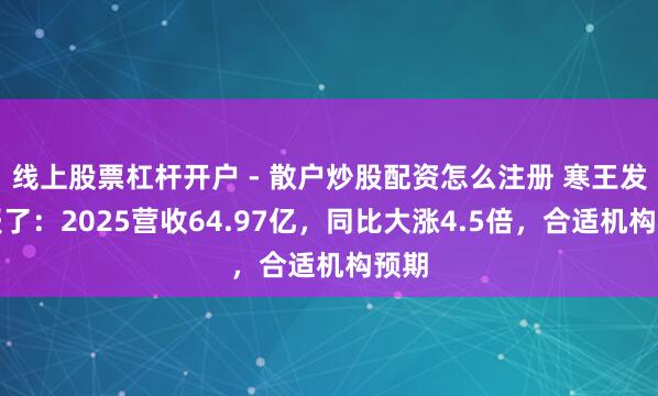线上股票杠杆开户 - 散户炒股配资怎么注册 寒王发家报了：2025营收64.97亿，同比大涨4.5倍，合适机构预期