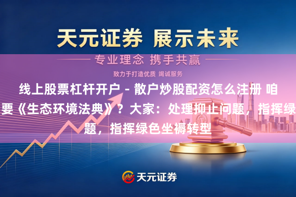 线上股票杠杆开户 - 散户炒股配资怎么注册 咱们为什么需要《生态环境法典》？大家：处理抑止问题，指挥绿色坐褥转型